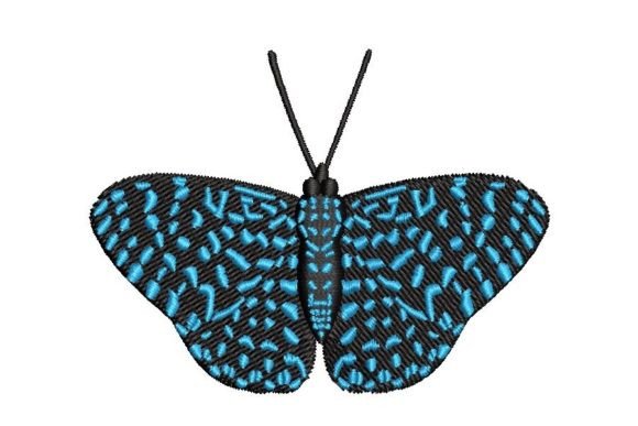 Hamadryas Butterfly: A Designer’s Review