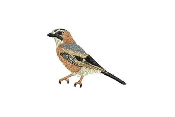 Jay Bird Embroidery: A Designer’s Review for Handmade Gifts