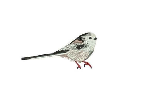 Long Tailed Tit: A Designer’s Review for Real Projects