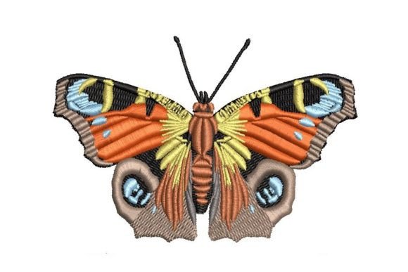 Peacock Butterfly: A Designer’s Review for Custom Gifts